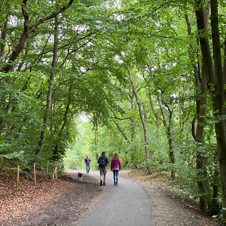Koningshof *
