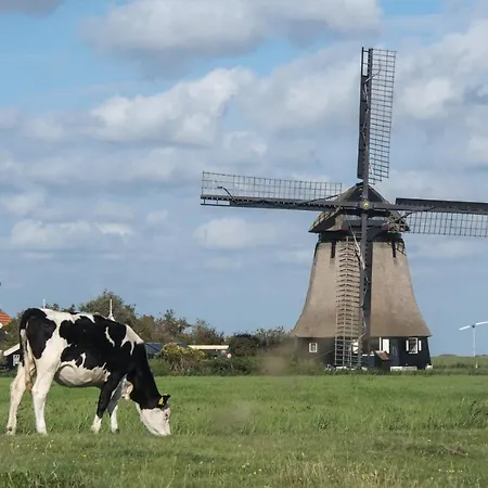 Nyaraló Koningshof Schoorl